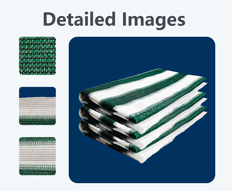 شبكة الشرفة 12