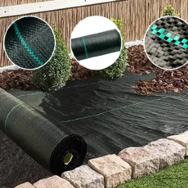 كيفية اختيار أفضل غطاء أرضي لحديقتك