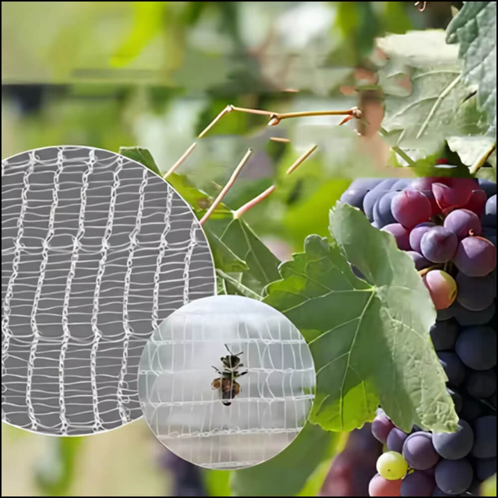 شركة مكافحة النحل