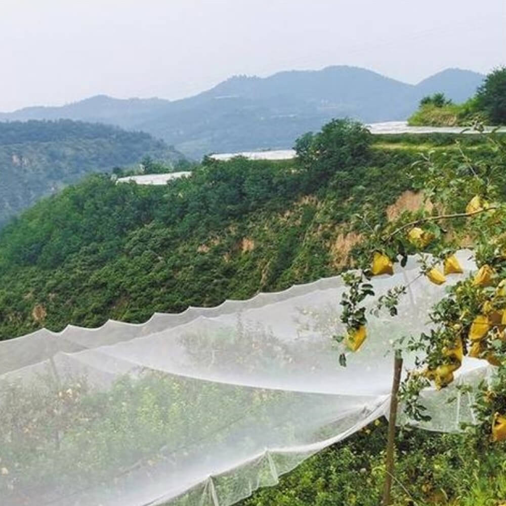 شبكة برد محبوكة ممتازة لكروم العنب