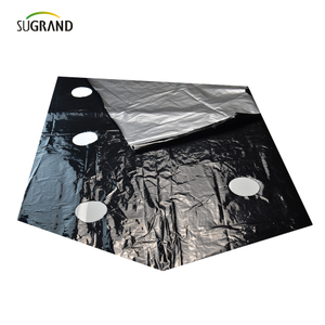 استخدام فيلم المهاد من البلاستيك مثقبة للأشعة فوق البنفسجية استخدام الخضار 