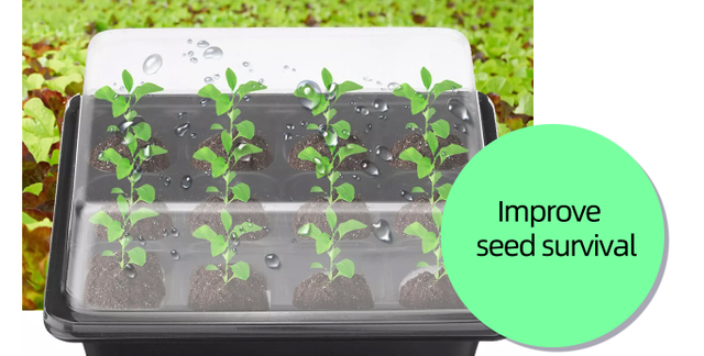 شترستوك_572805157