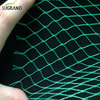 السوق الأرجنتيني Green Bird Protection Net Nylon Mist Bird Nets