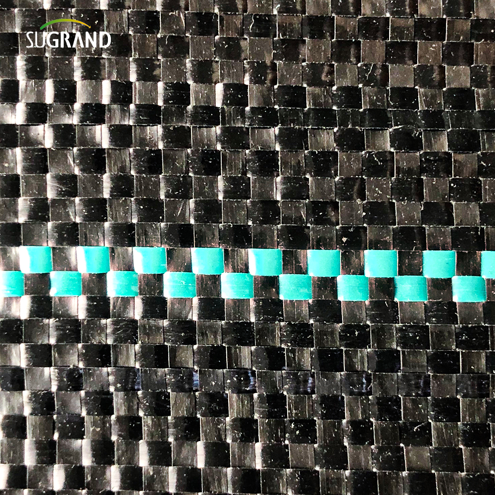 100gsm غطاء الأرض الأسود والأخضر / حصيرة الأعشاب