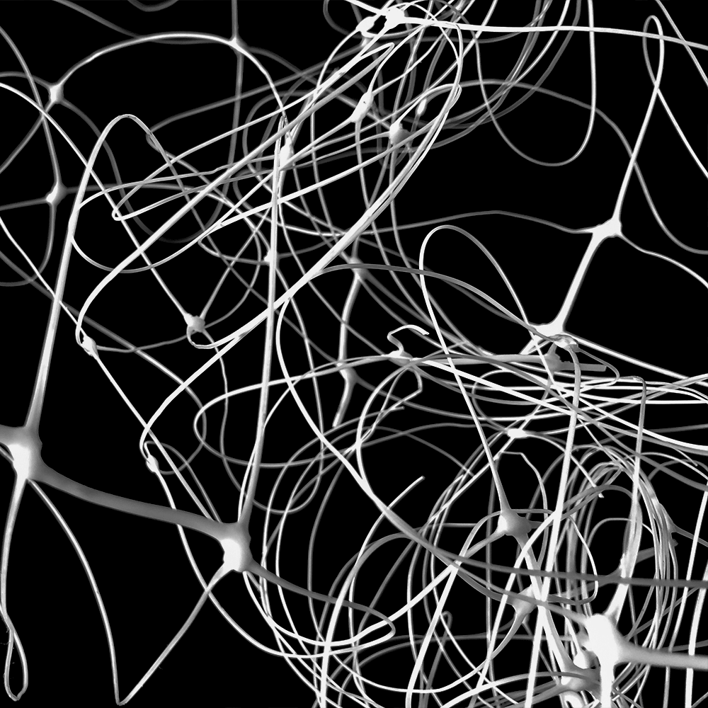 دعم النبات صافي حديقة تعريشة لتسلق النباتات في الهواء الطلق