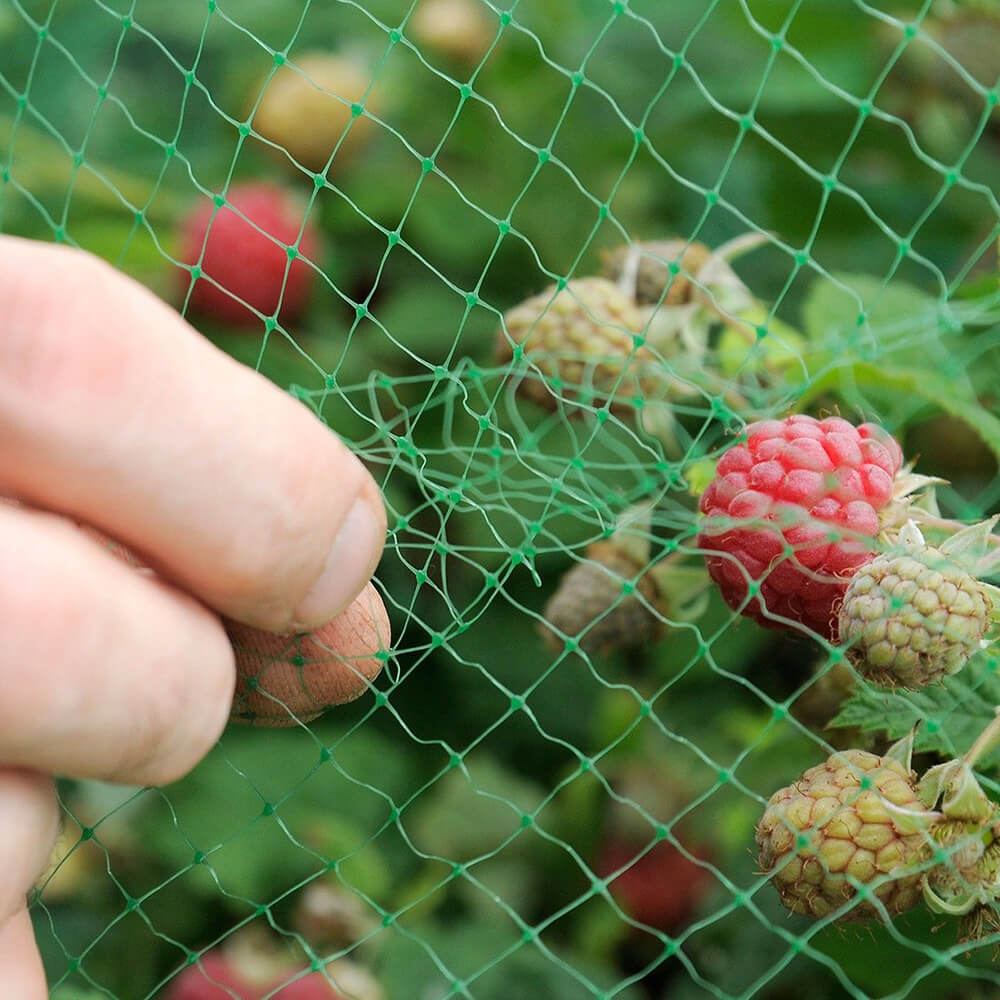 شبكة مضادة للطيور للبستان والمزرعة