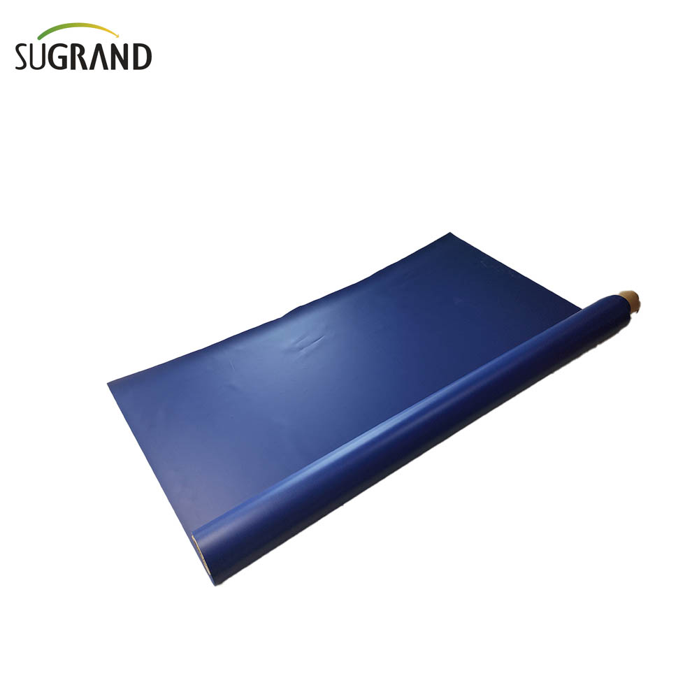 Blue 12x24 TARPAULIN TRAPAULIN THEACH 