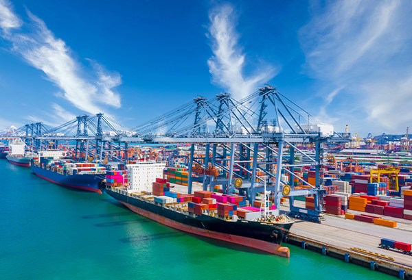 خبرة غنية في الإنتاج والتصدير 