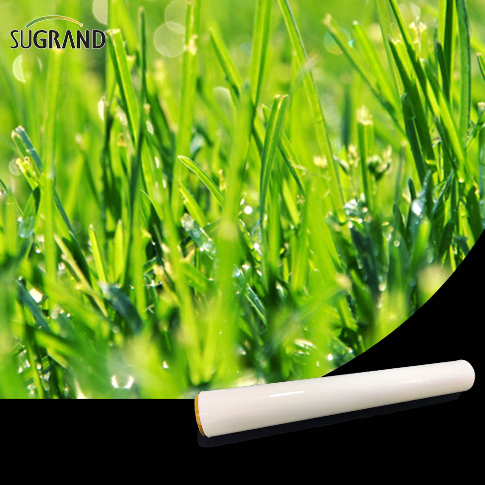 فيلم سيلاج أبيض / سيلاج سيلاج