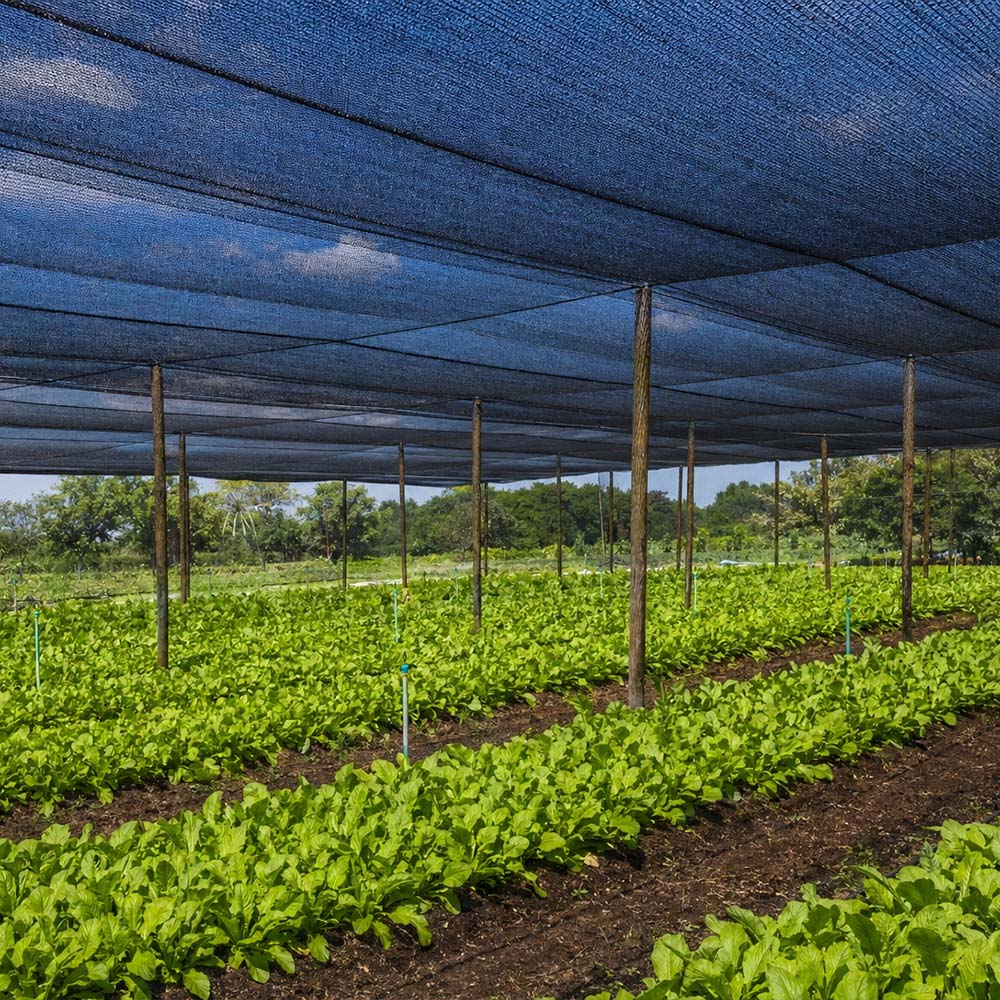الجملة HDPE محبوك أحادية شبكة الظل الأسود
