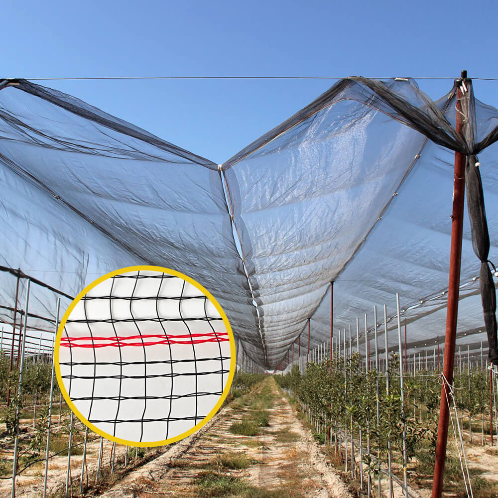 شبكة برد محبوكة ممتازة لكروم العنب