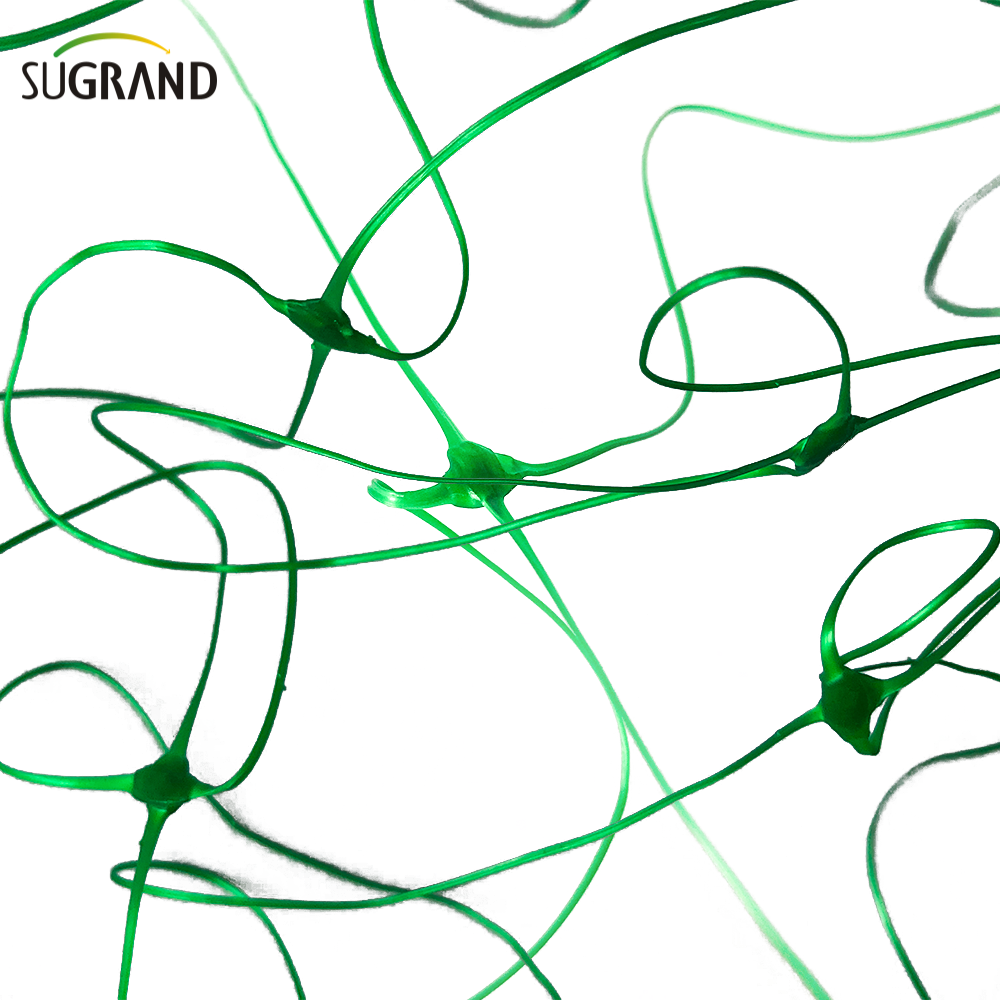 HDPE Net Plant Plant Net Support Net Trellis Trellis Trellis Trellis