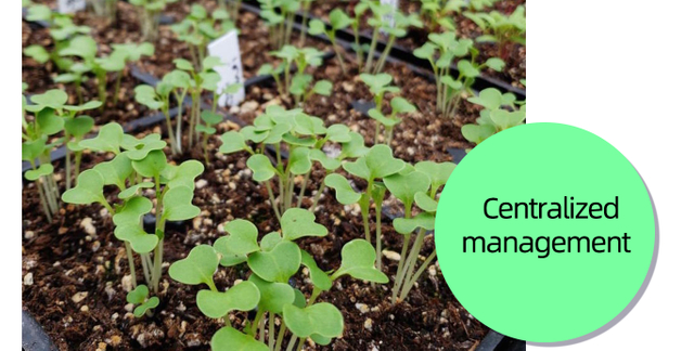 شترستوك_1031148421