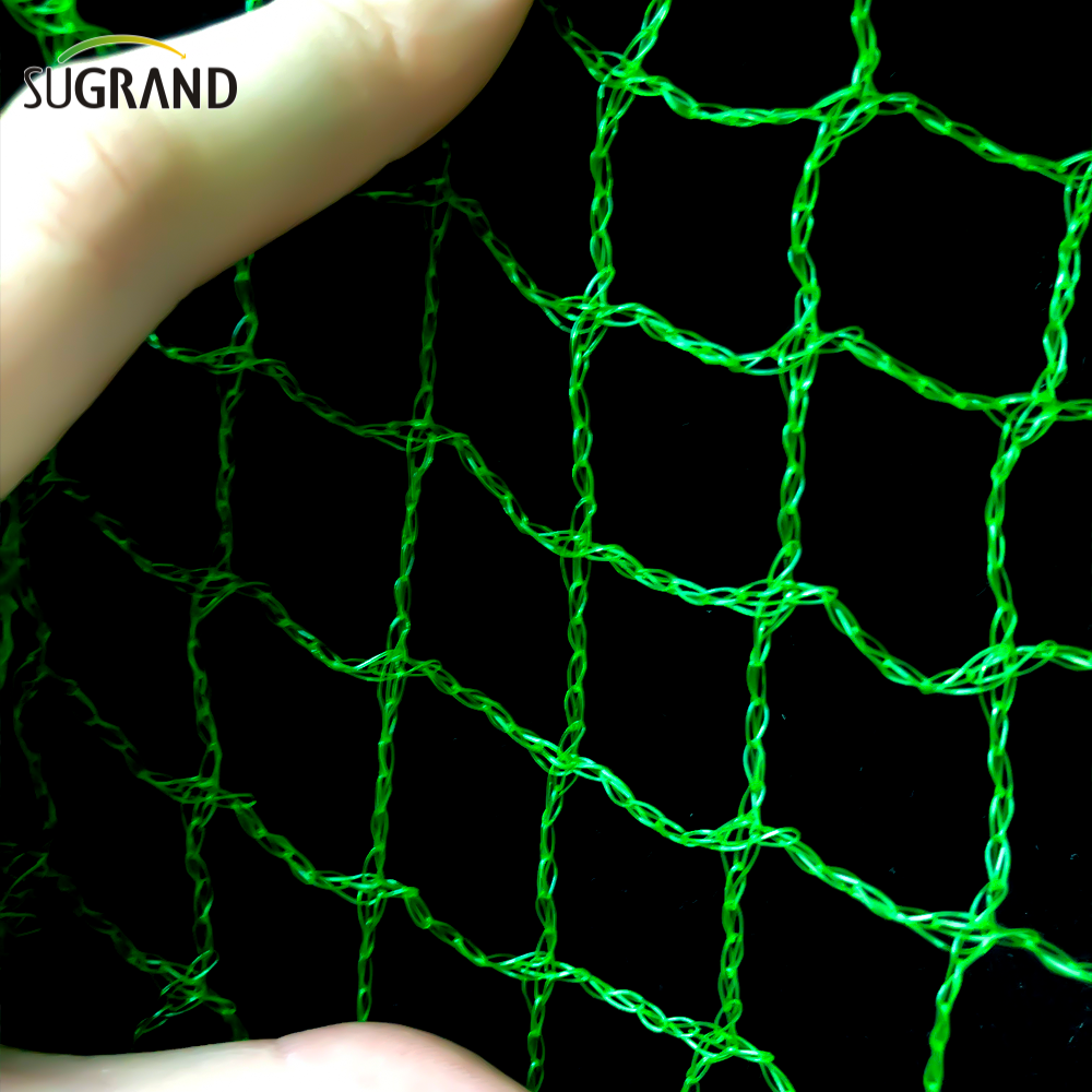 10 مم إلى 30 ملم شبكة الطيور الخضراء المنسوجة لصيد شبكة الطيور