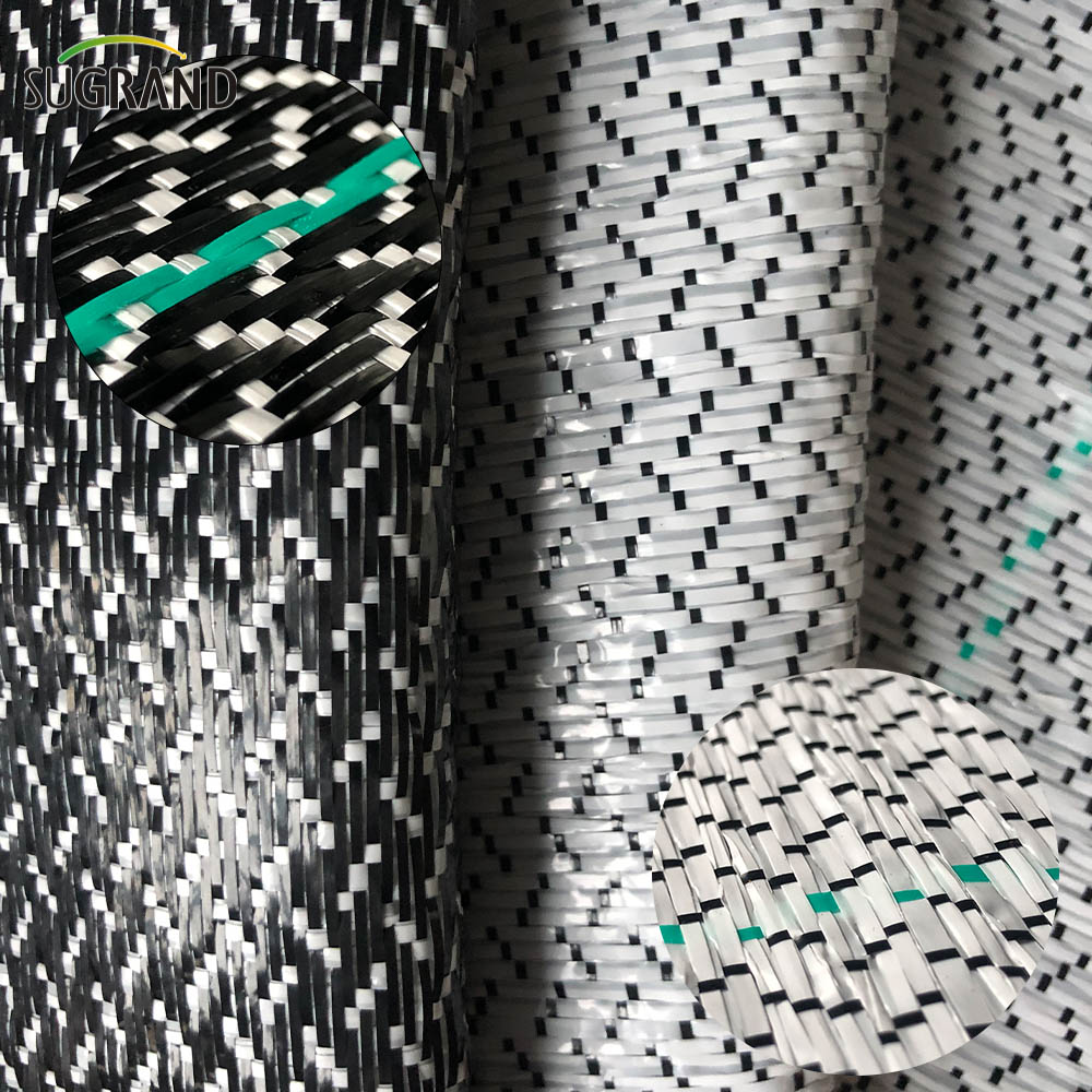 غطاء أرضي بالأبيض والأسود 0.7*100M حصيرة الأعشاب لسوق تشيلي