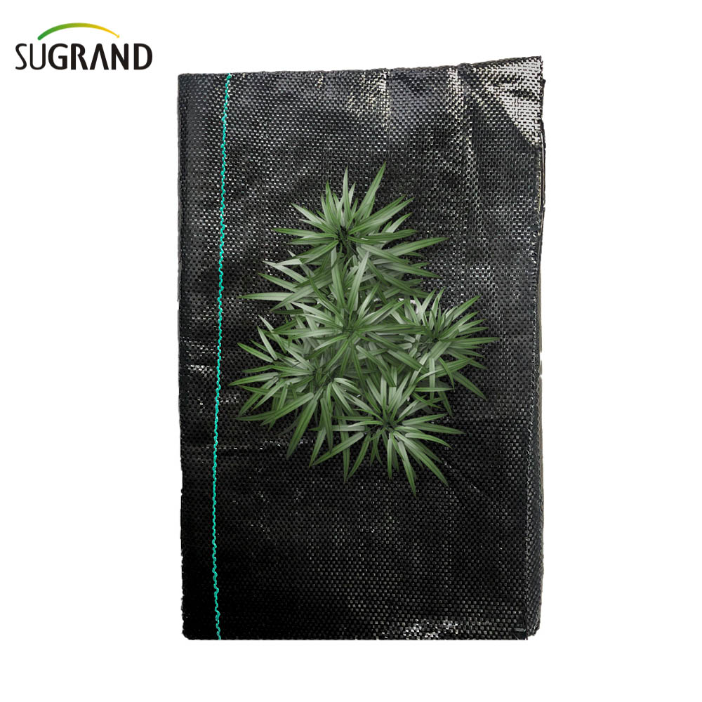 100 ٪ PP غطاء الأرض الأسود/نسيج حاجز الأعشاب