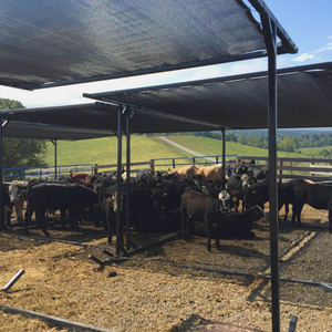 مصنع محبوكة للزراعة لشبك الظل الأحادي