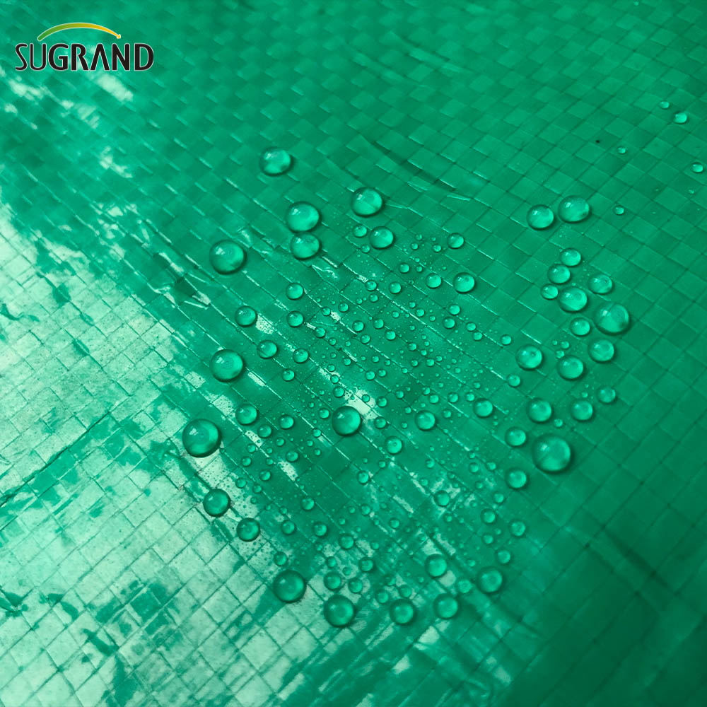 تغطية الحماية من القماش المشمع الخضراء الشاقة القنب 2.5x3.6m