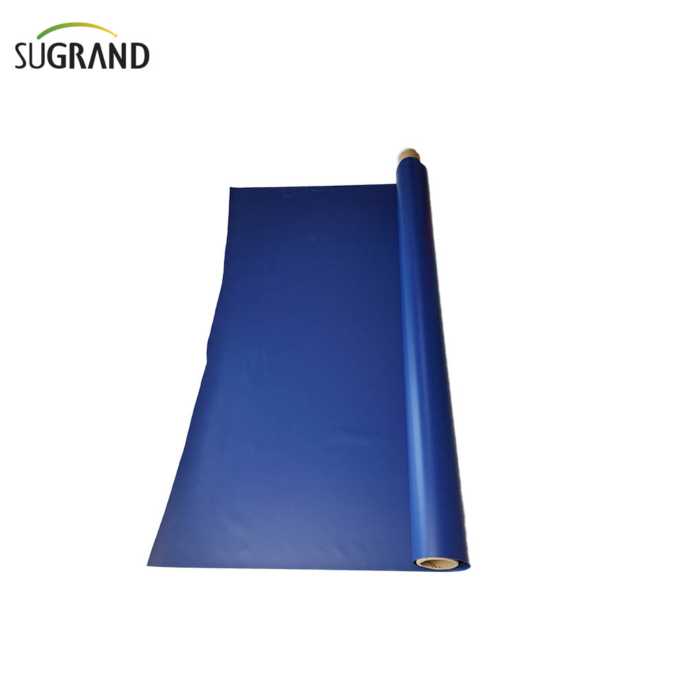 Blue 12x24 TARPAULIN TRAPAULIN THEACH 