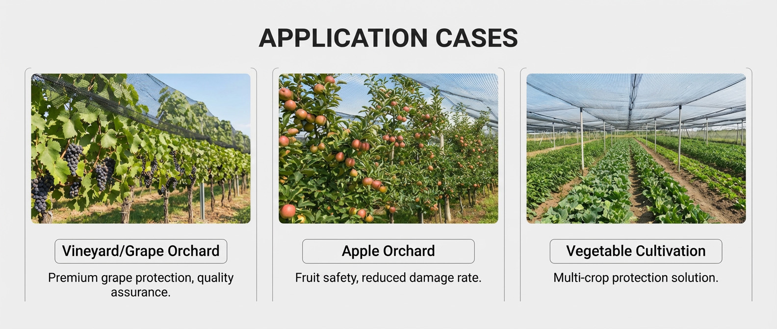 برد شبكي حديقة.jpg