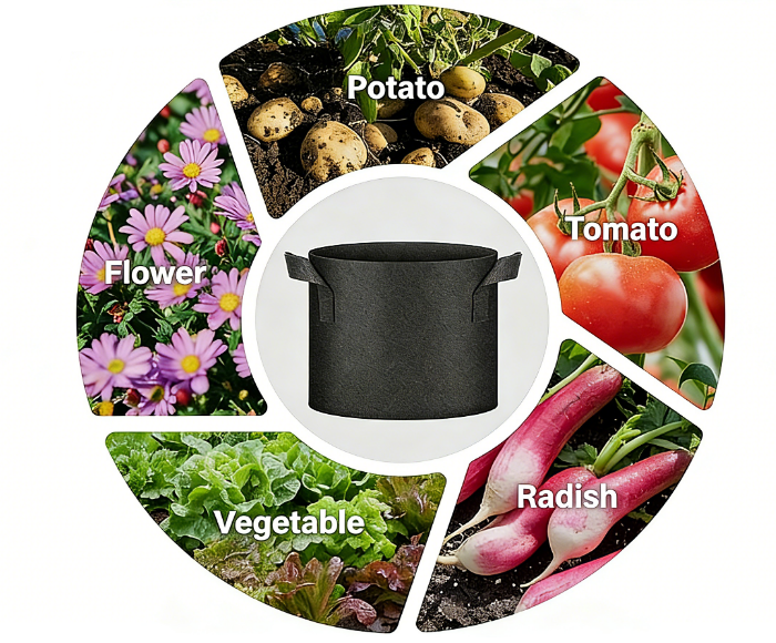 أكياس تنمو جالون