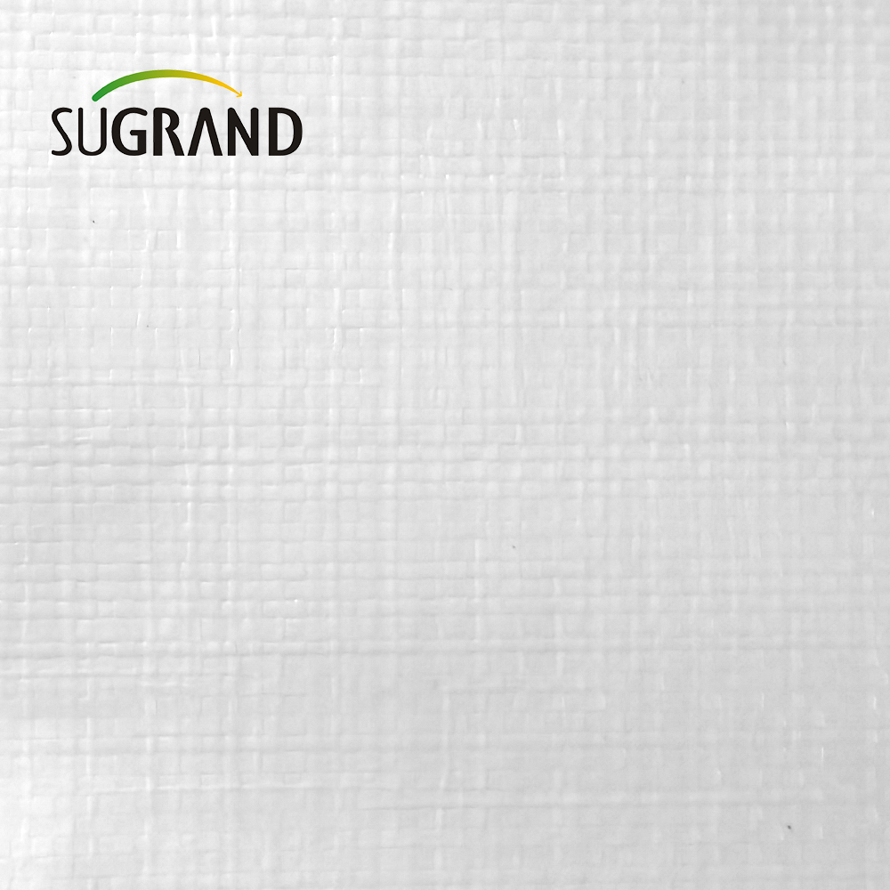 Pe White Tapaulin in Roll for Agriculture Industrial Outdoor Covers
