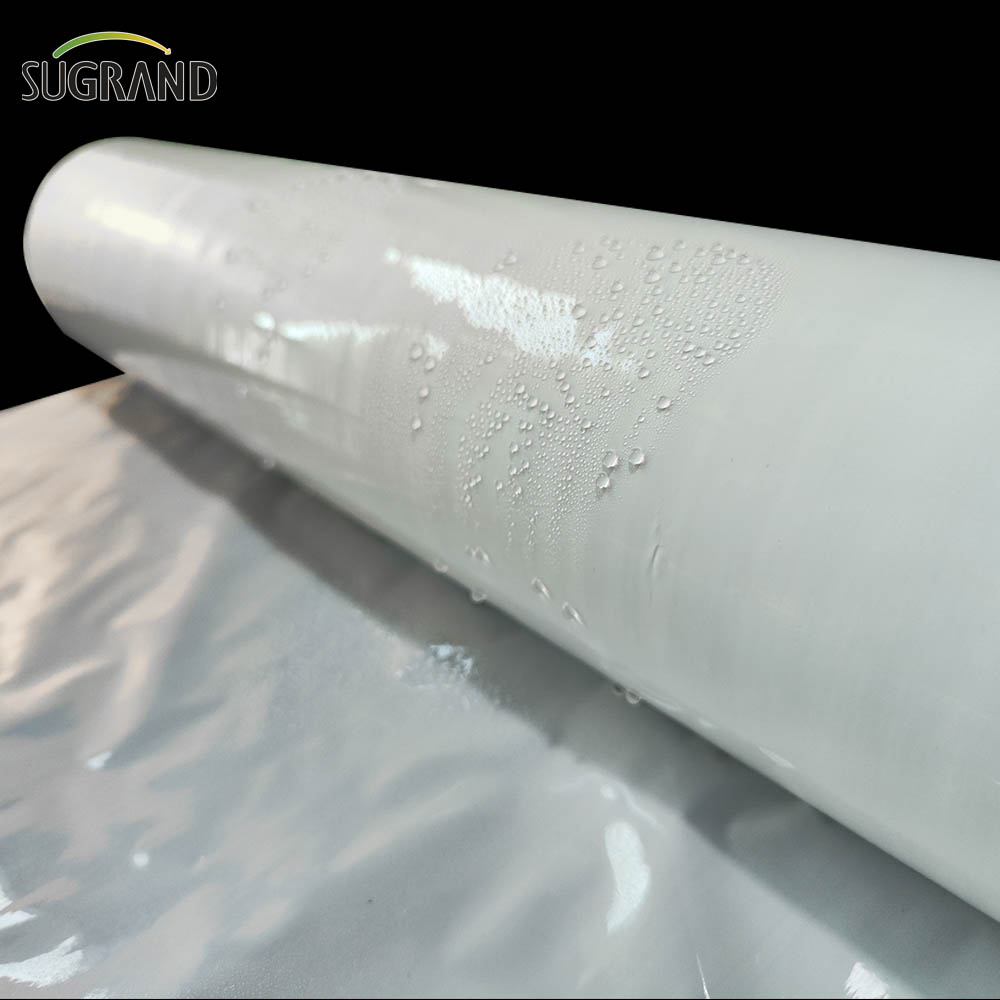 فيلم سيلاج أبيض / سيلاج سيلاج