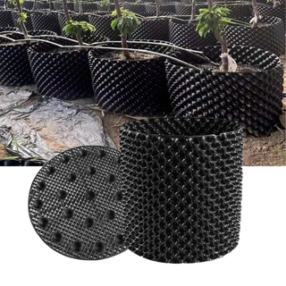 الحاوية التي تحكم الجذر النباتي