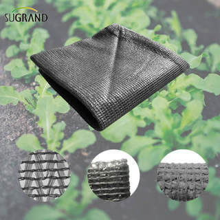 ستة إبر شريط أحادي الشريط الظل رمادي