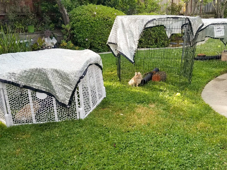 أفضل الشركات المصنعة لظلال الزراعة في بنغالور