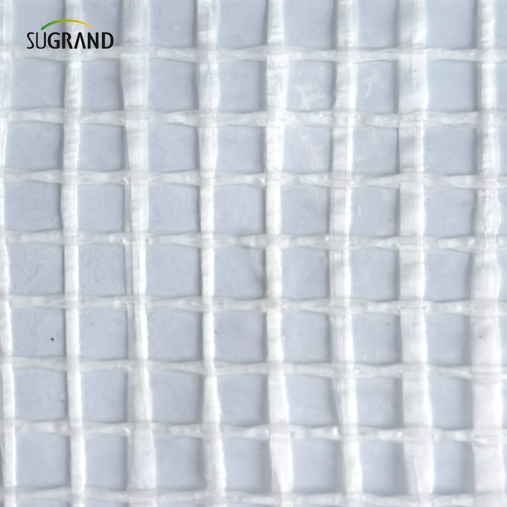 مقياس 600 جرام واضح 2*45M/3*45M متخلف حريق السقالات البيضاء