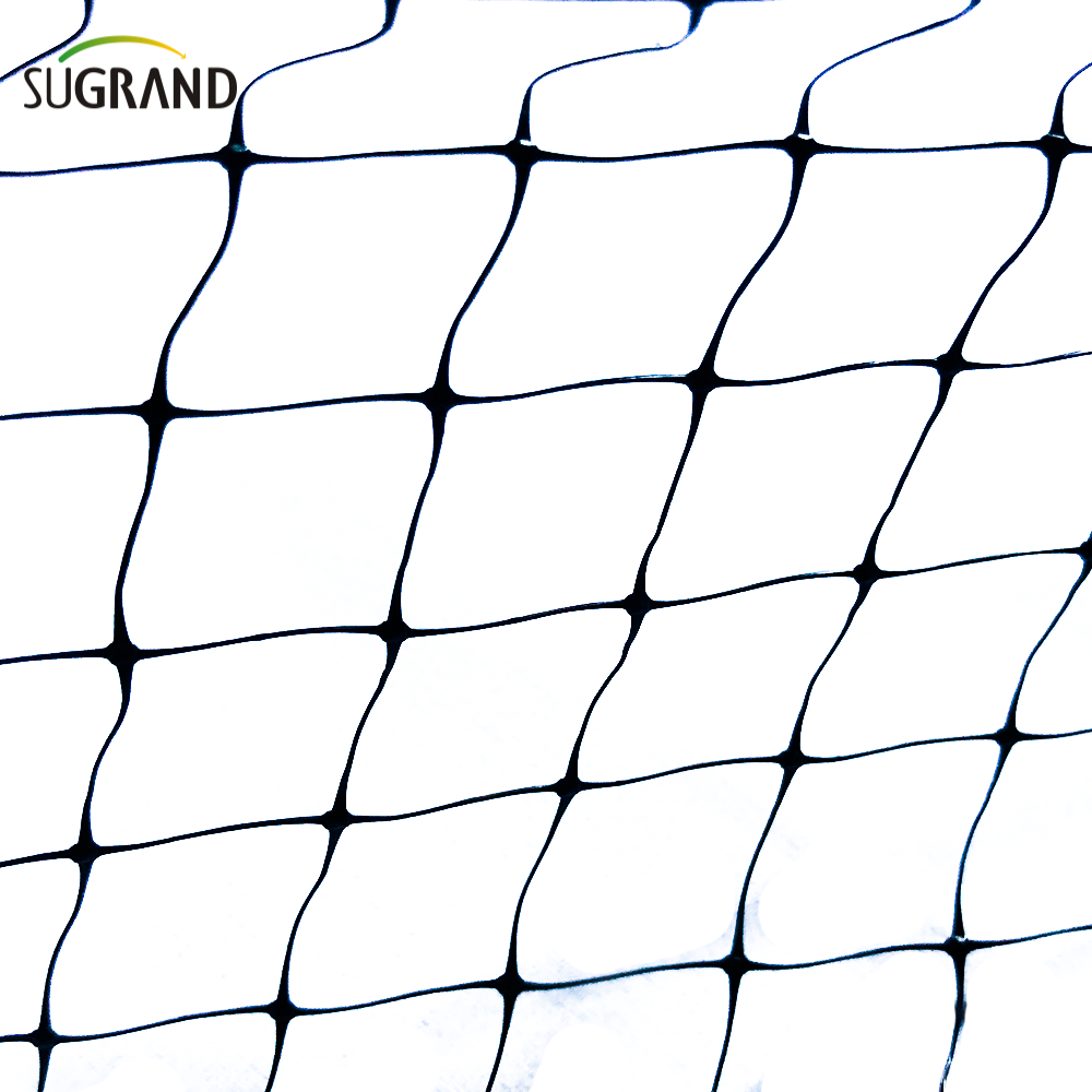 HDPE 200m بثرى شبكة الطيور المضادة لحماية الفاكهة الخضار