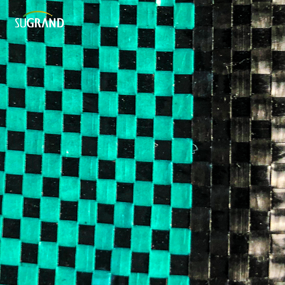 100gsm غطاء الأرض الأسود والأخضر / حصيرة الأعشاب