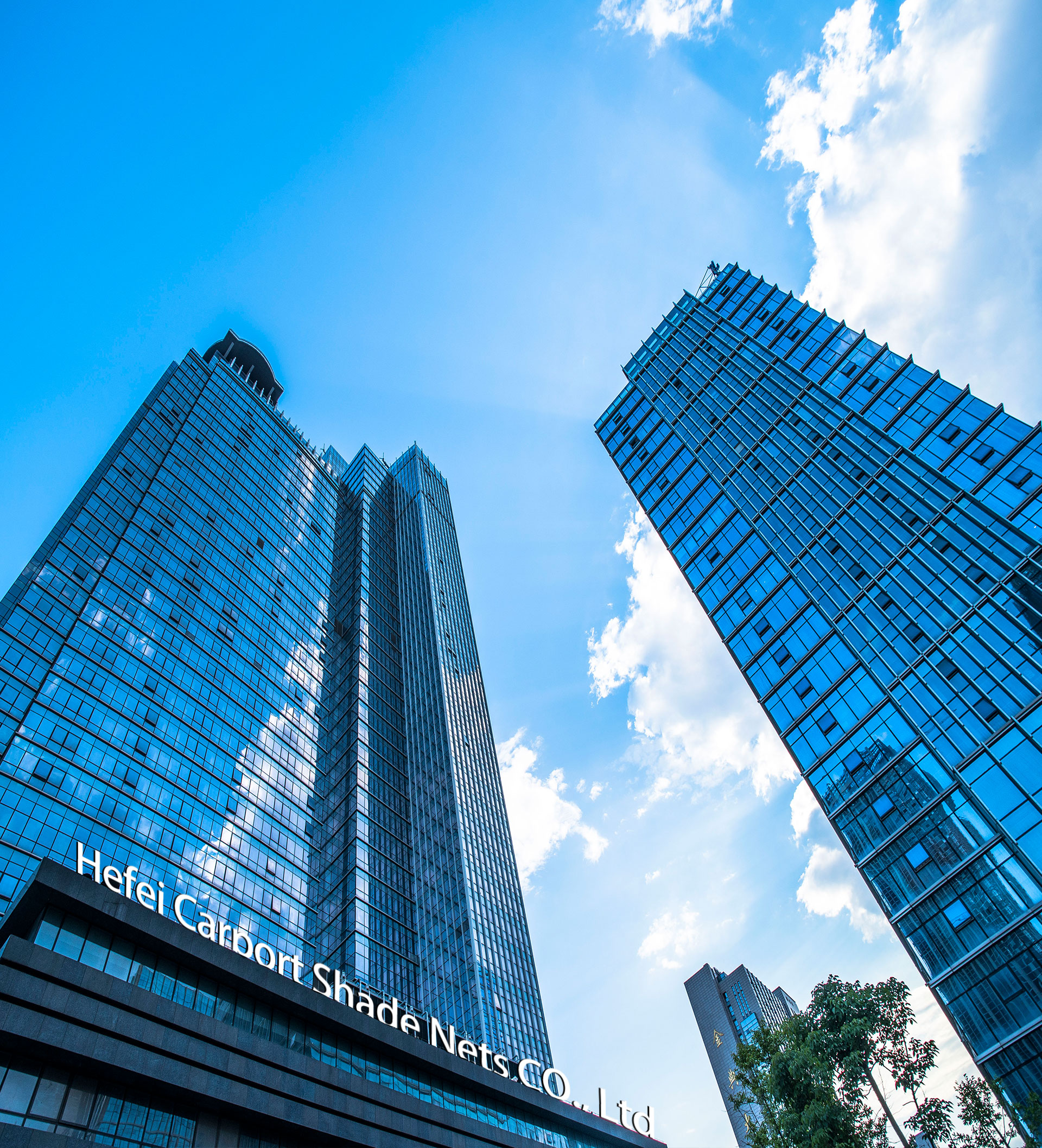 شبكة تحذير 12