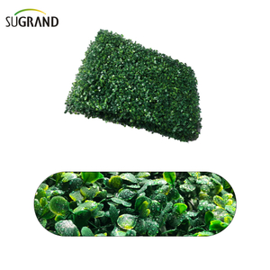 أوراق الاصطناعية ورقة الاصطناعية للحديقة