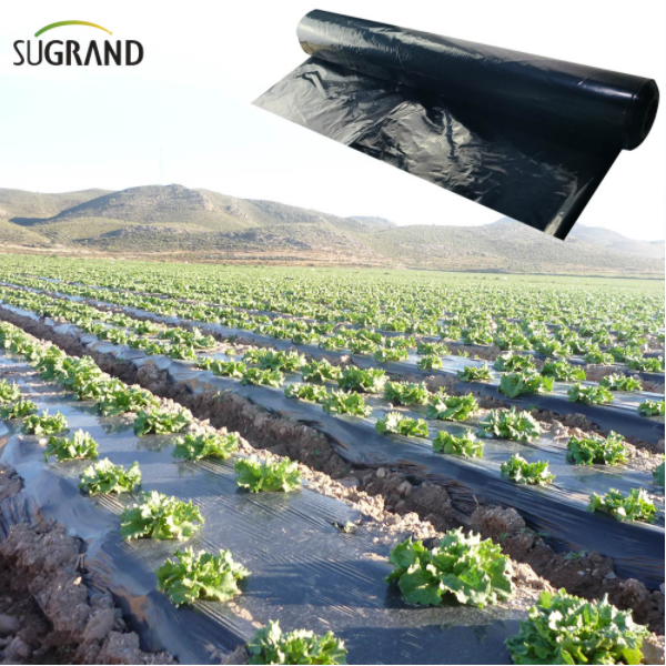 فوائد فيلم المهاد في الدفيئات