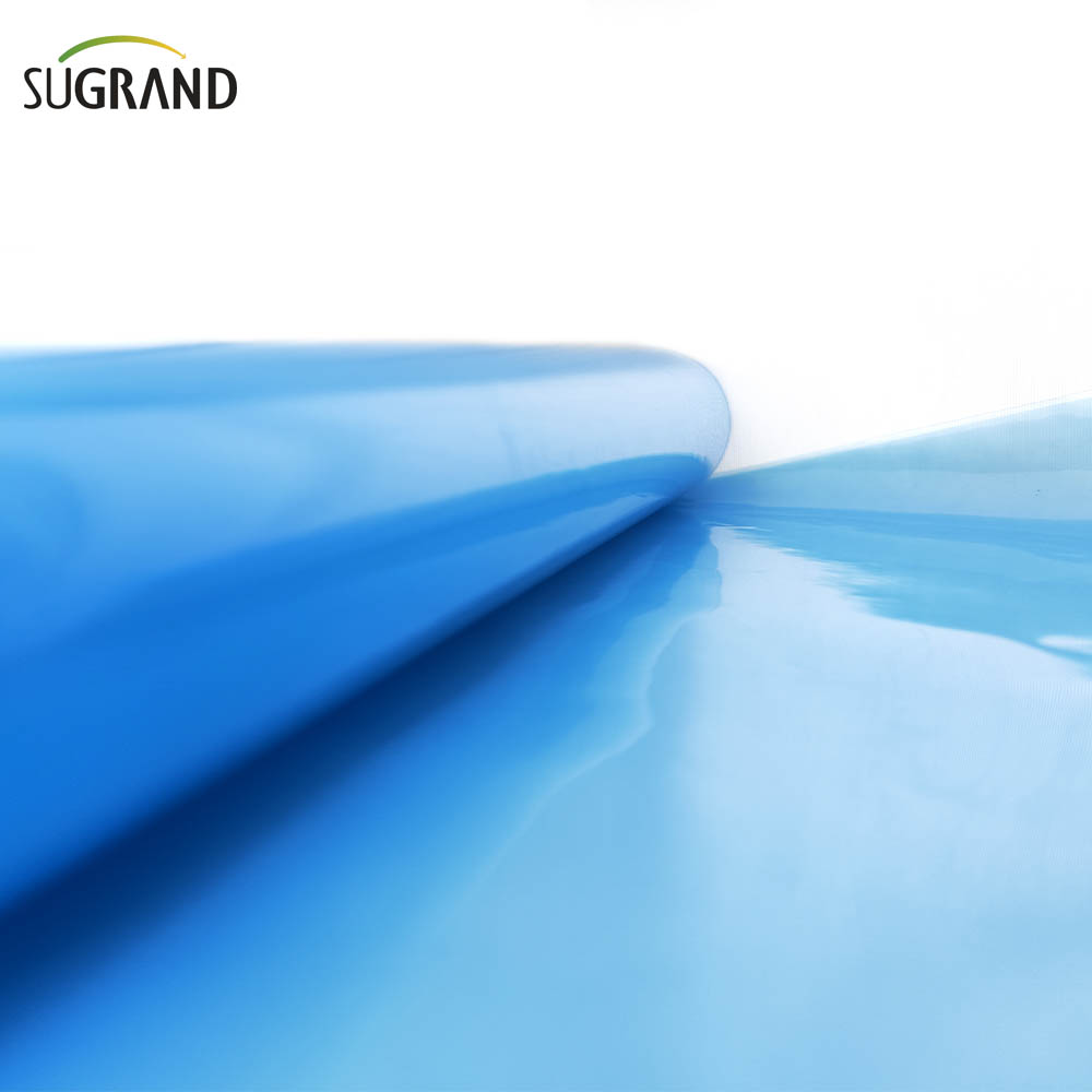  6 ميل من مادة البولي إيثيلين غرينهاوس فيلم بلاستيكي زرقاء دفيئة 