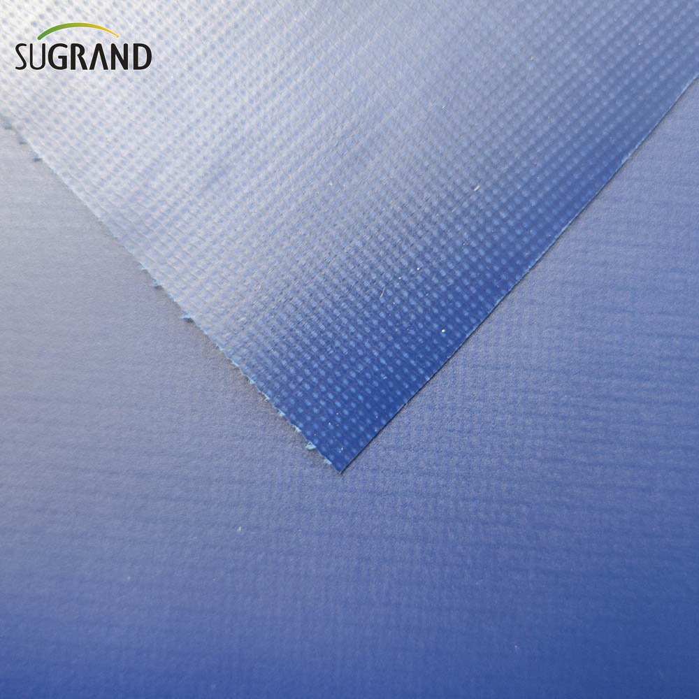 Blue 12x24 TARPAULIN TRAPAULIN THEACH 