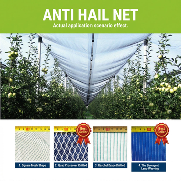 anti hail net.jpg