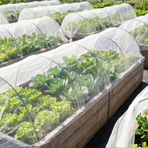 الجملة الأشعة فوق البنفسجية استقرت HDPE شبكة مكافحة الحشرات
