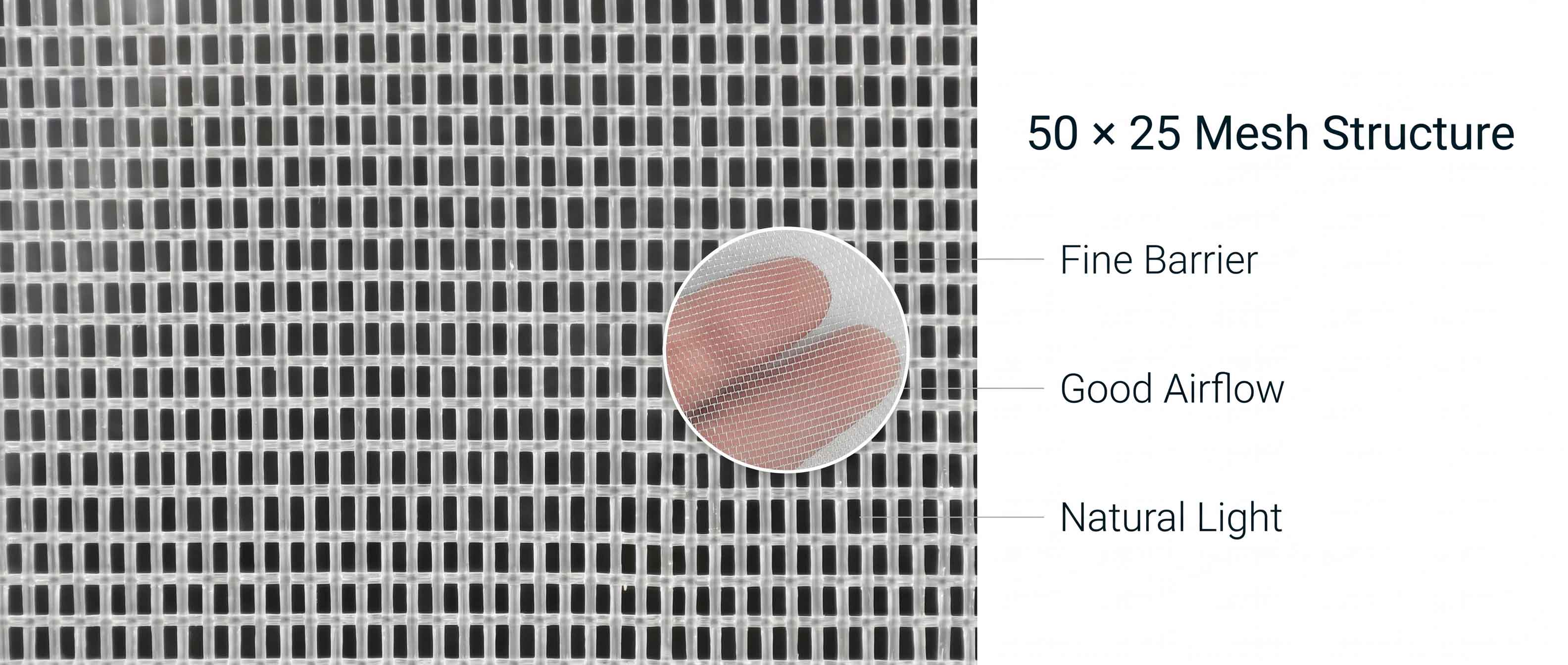50 شبكة شبكة حشرات.jpg